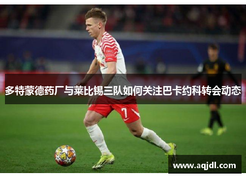 多特蒙德药厂与莱比锡三队如何关注巴卡约科转会动态