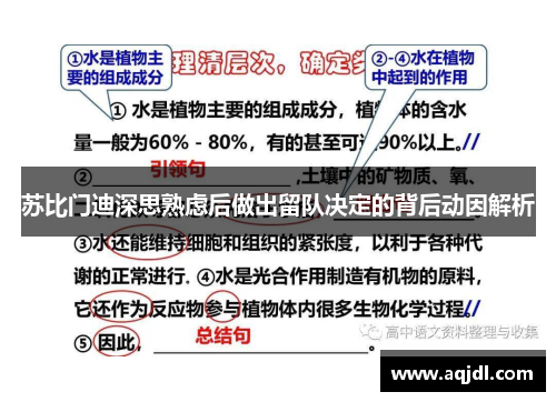 苏比门迪深思熟虑后做出留队决定的背后动因解析