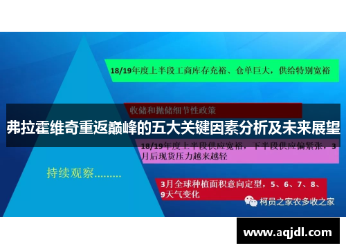 弗拉霍维奇重返巅峰的五大关键因素分析及未来展望 弗拉霍维奇重返巅峰的五大关键因素分析及未来展望