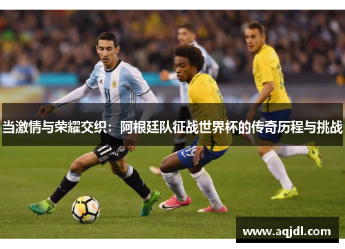 当激情与荣耀交织：阿根廷队征战世界杯的传奇历程与挑战