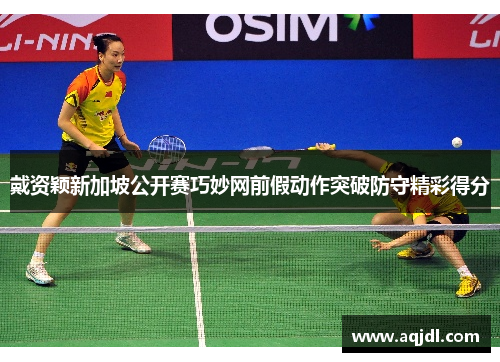 戴资颖新加坡公开赛巧妙网前假动作突破防守精彩得分 戴资颖新加坡公开赛巧妙网前假动作突破防守精彩得分