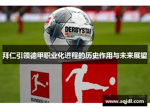 拜仁引领德甲职业化进程的历史作用与未来展望