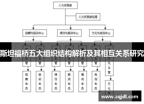 斯坦福桥五大组织结构解析及其相互关系研究 斯坦福桥五大组织结构解析及其相互关系研究