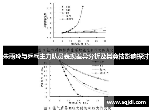朱雨玲与乒乓主力队员表现差异分析及其竞技影响探讨